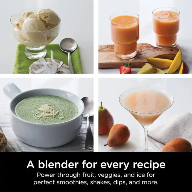 Who Should Buy the Ninja Professional Blender 1000W?